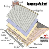 Roof - A picture depicting the anatomy of a framed roof.